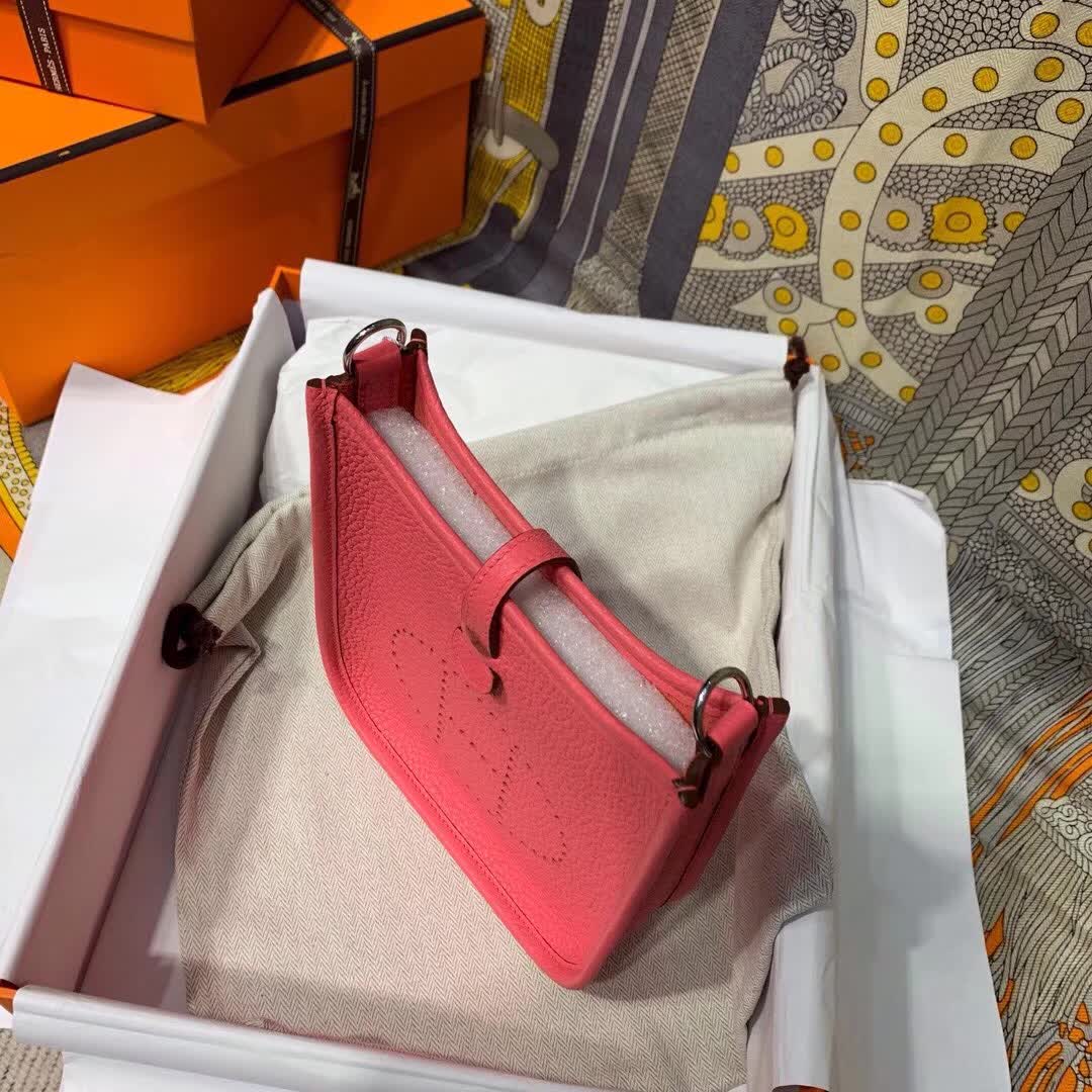 Hermes Evelyn Bags